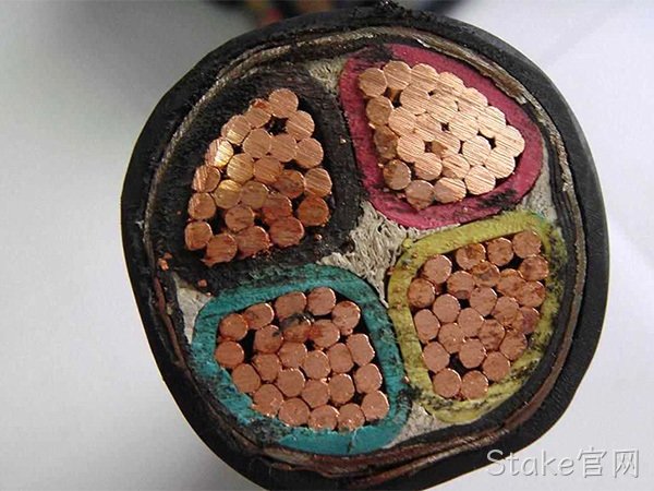 异戊酸的提取与分离工艺